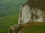 Барская поляна