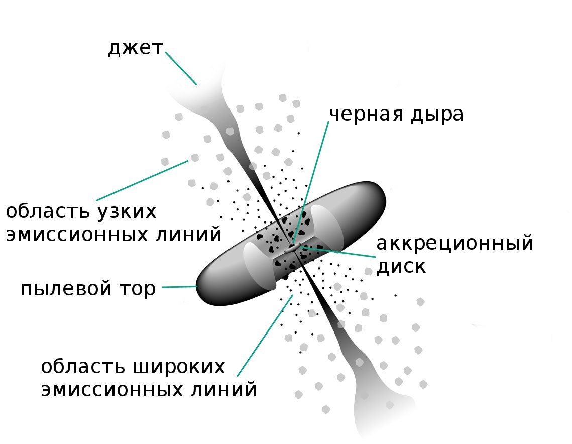 структура активного ядра галактики